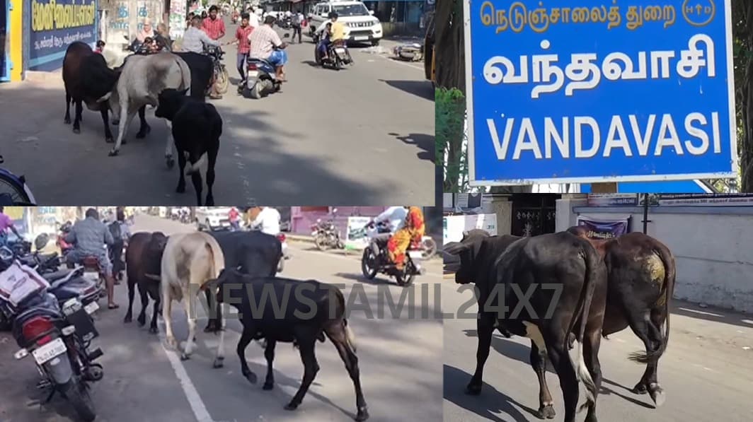 thiruvannamalai-vanthavasi