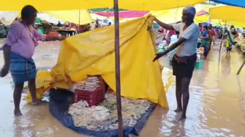 ஆலங்குடி, புதுக்கோட்டை