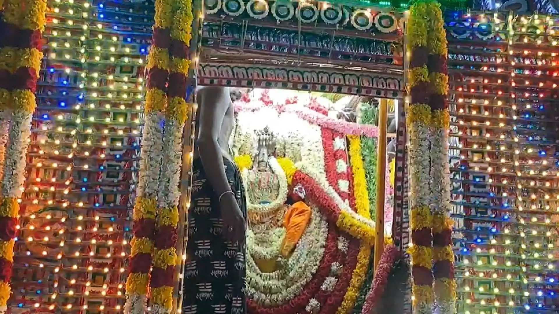 Nellai temple festival