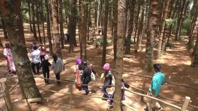 Nlg tourist spot opened