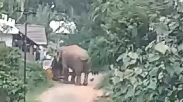 Nilgiris