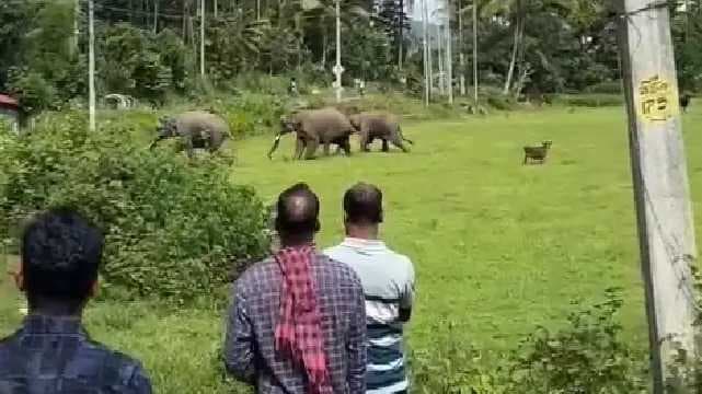 Kerala