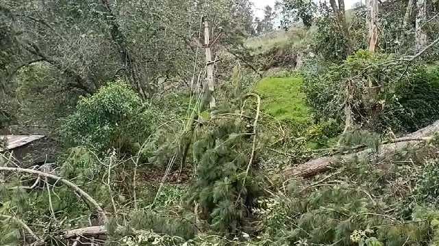 Kodaikanal