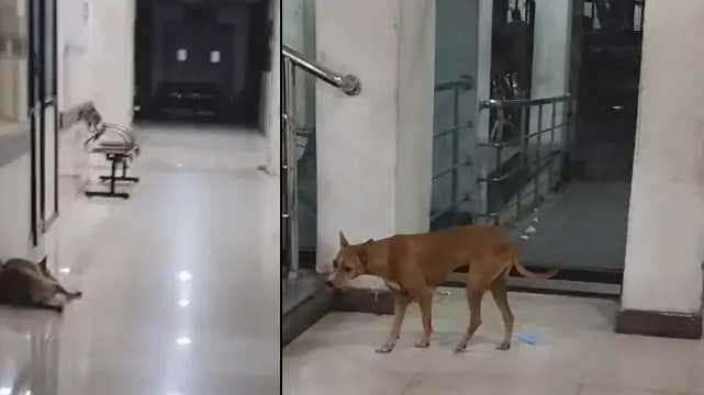 Omanthoor Government Multipurpose High Hospital