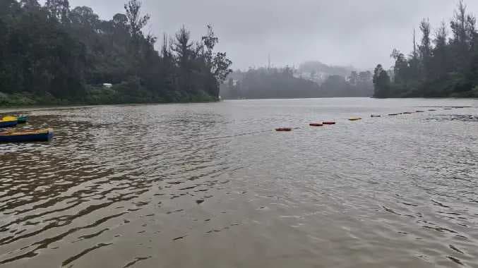NLG Rain