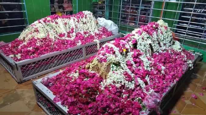 TVM Santha koodu