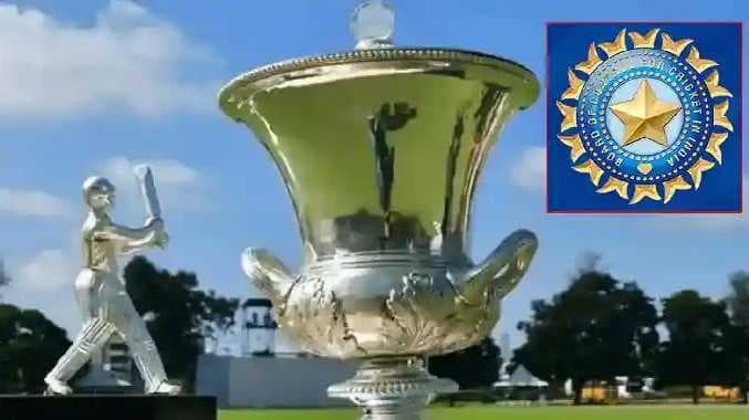 Tulip trophy