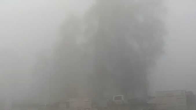 DGL kodaikanal fog