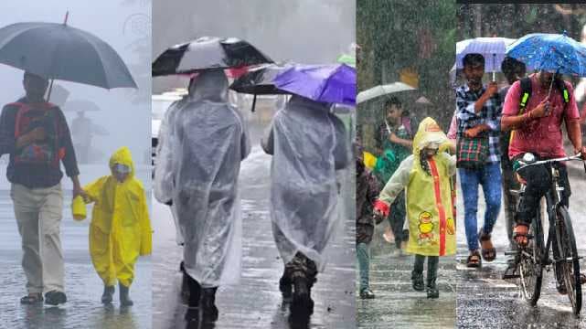rain