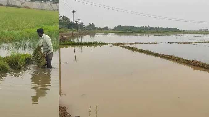 rain issue