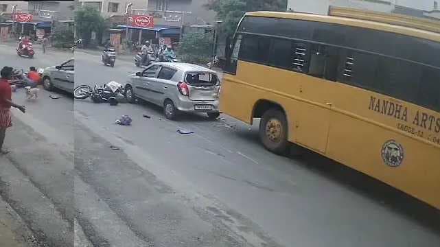 dog accident