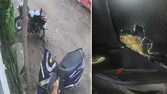 CHN Chengalpattu dog byte seat