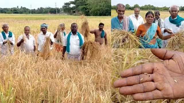 nagai farmers
