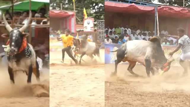 manju virattu