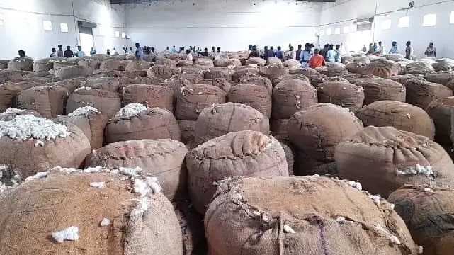 cotton