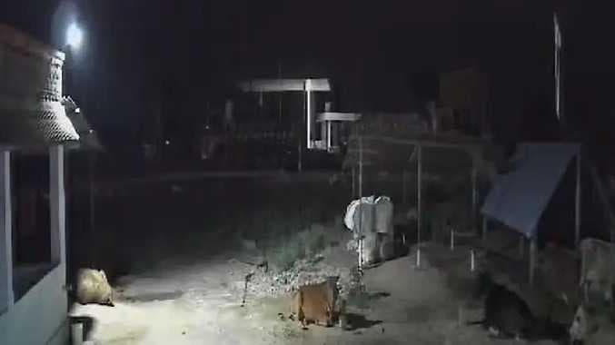 Mathur accident