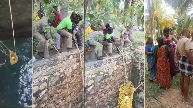 TNL Well fall
