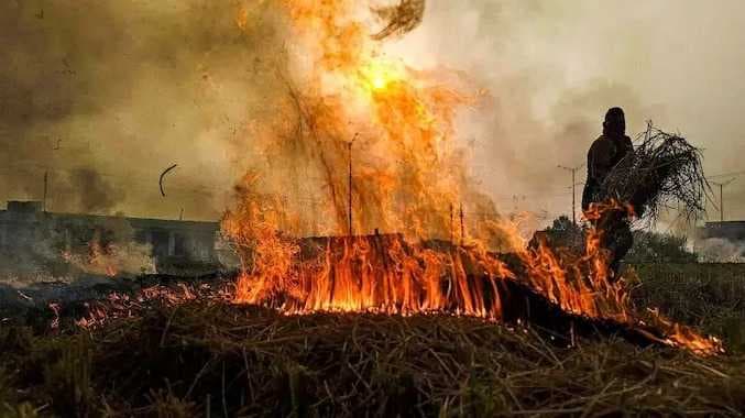 Punjab paddy wastage fire
