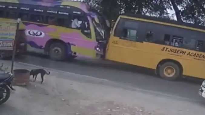 Bus crash