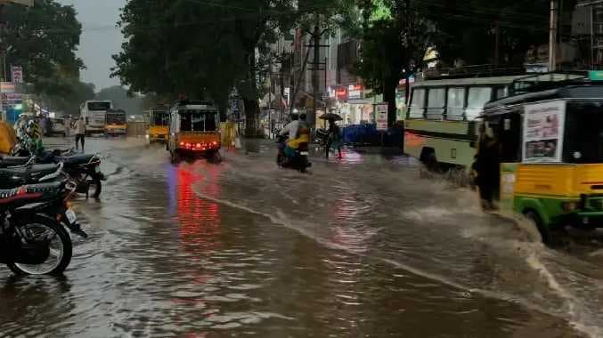 TNL Rain