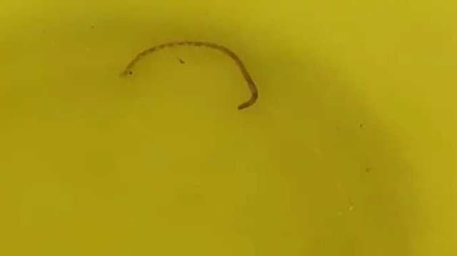 Thirupur school issue