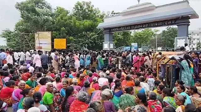 NGP Collector office