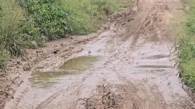 cbe road