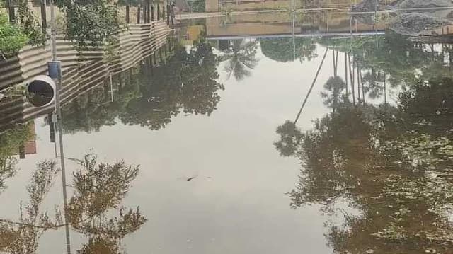 Womens school rain water