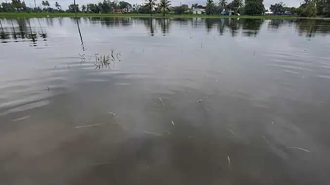 Sethiya thoapu