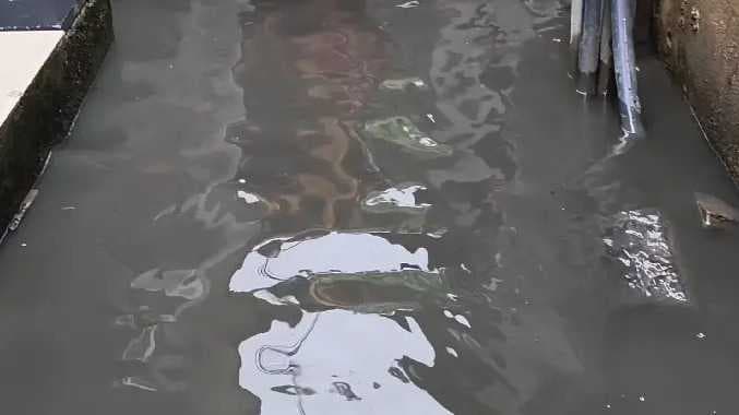 Chennai rain