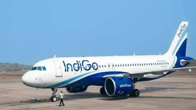 Indigo