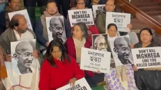 Parliment MP Protest