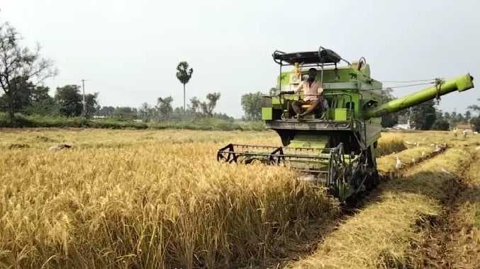ERD Paddy news