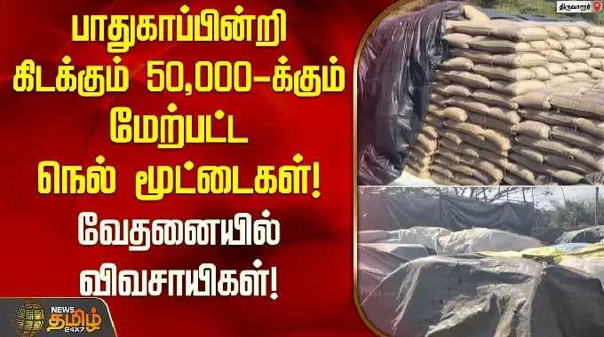 பாதுகாப்பின்றி கிடக்கும் 50,000-க்கும் மேற்பட்ட நெல் மூட்டைகள்! வேதனையில் விவசாயிகள்! | Thiruvarur |