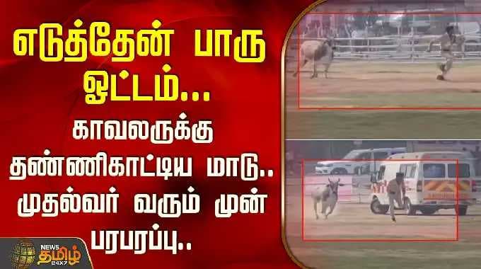எடுத்தேன் பாரு ஓட்டம்... காவலருக்கு தண்ணிகாட்டிய மாடு.. முதல்வர் வரும் முன் பரபரப்பு..