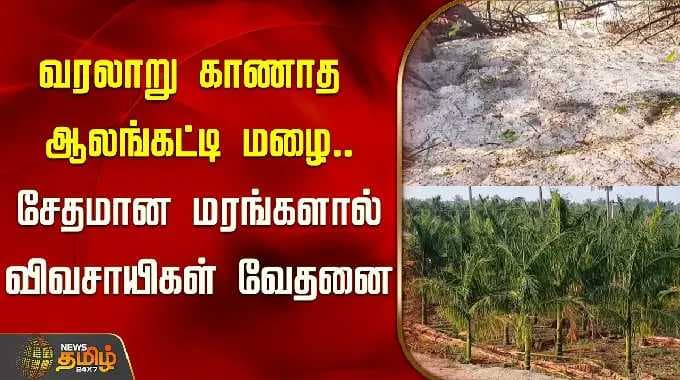 Coimbatore | வரலாறு காணாத ஆலங்கட்டி மழை.. சேதமான மரங்களால் விவசாயிகள் வேதனை | Hail Storm