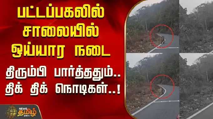 பட்டப்பகலில் சாலையில் ஒய்யார நடை..திரும்பி பார்த்ததும்..திக் திக் நொடிகள்...! | Erode | Tamil News