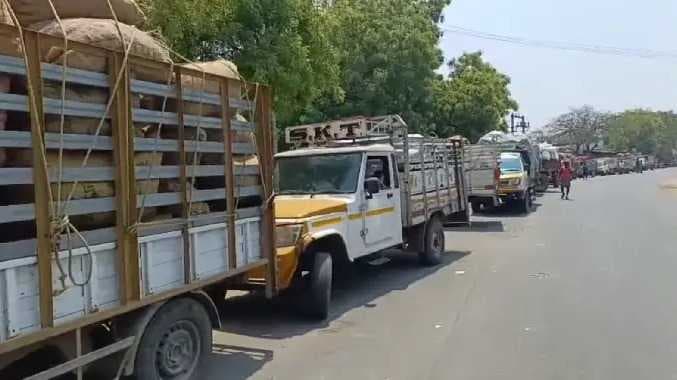 சேலம் மஞ்சள் பிரச்சனை