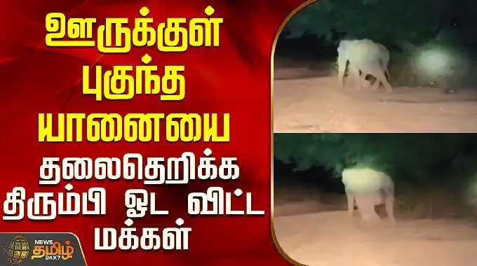 Erode | Elephant | Viral Video | ஊருக்குள் புகுந்த யானையை தலைதெறிக்க திரும்பி ஓட விட்ட மக்கள்