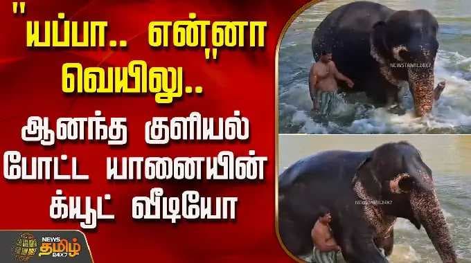 "யப்பா.. என்னா வெயிலு.." - ஆனந்த குளியல் போட்ட யானையின் க்யூட் வீடியோ | ElephantBathing