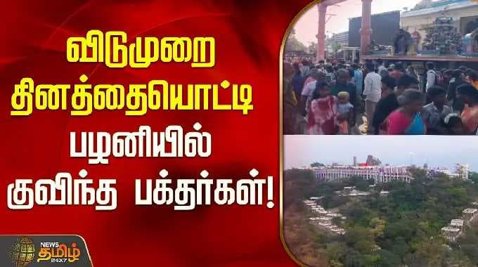 விடுமுறை தினத்தையொட்டி பழனியில் குவிந்த பக்தர்கள்! | Palani Murugan Temple | Palani Today |