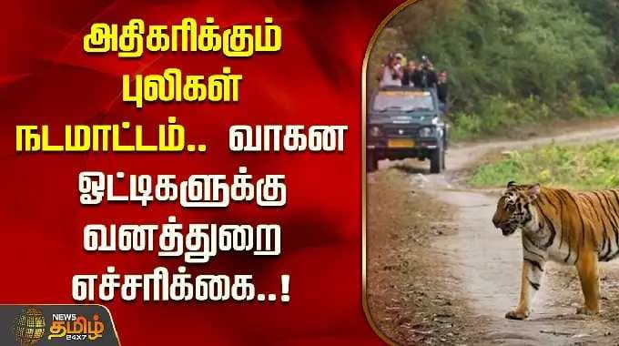 அதிகரிக்கும் புலிகள் நடமாட்டம்.. வாகன ஓட்டிகளுக்கு வனத்துறை எச்சரிக்கை.! | Gudalur | Nilgris | Tiger