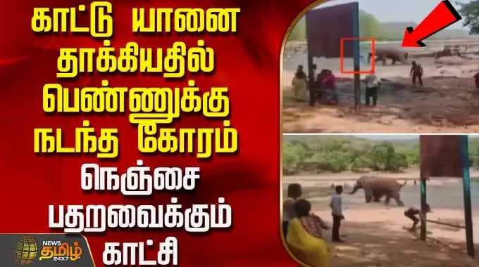 காட்டு யானை தாக்கியதில் பெண்ணுக்கு நடந்த கோரம்.. நெஞ்சை பதறவைக்கும் காட்சி | ElephantAttack