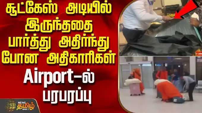 சூட்கேஸ் அடியில் இருந்ததை பார்த்து அதிர்ந்து போன அதிகாரிகள் - Airport-ல் பரபரப்பு | SriLankaNews