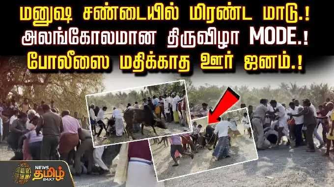 மனுஷ சண்டையில் மிரண்ட மாடு.. அலங்கோலமான திருவிழா MODE.! | Krishnagiri | FightIncident