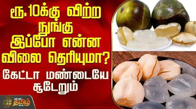 Ice Apple Price | ரூ.10க்கு விற்ற நுங்கு இப்போ என்ன விலை தெரியுமா? - கேட்டா மண்டையே சூடேறும்