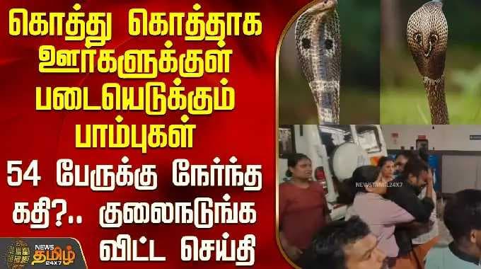 Kerala | Snake | கொத்து கொத்தாக ஊர்களுக்குள் படையெடுக்கும் பாம்புகள் - 54 பேருக்கு நேர்ந்த கதி?