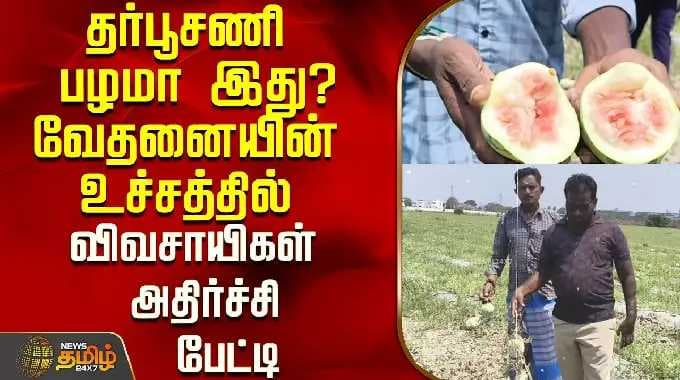 தர்பூசணி பழமா இது?வேதனையின் உச்சத்தில் விவசாயிகள் அதிர்ச்சி பேட்டி..!| Watermelon | Tiruvallur
