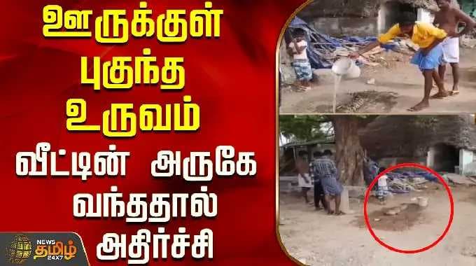 ஊருக்குள் புகுந்த உருவம்..வீட்டின் அருகே வந்ததால் அதிர்ச்சி..! | Cuddalore News