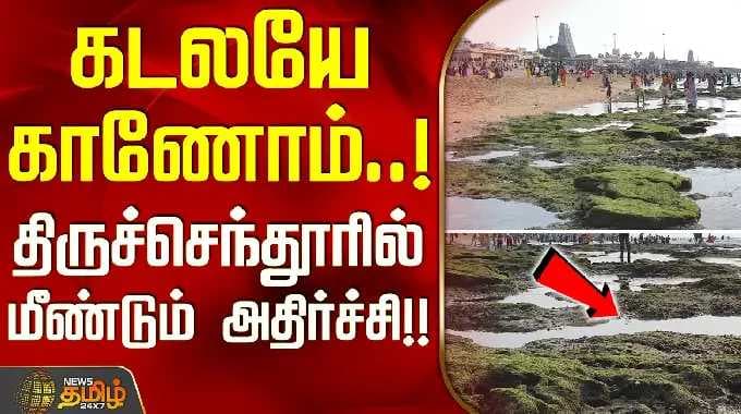Tiruchendur | Sea Recedes | கடலயே காணோம்..! - திருச்செந்தூரில் மீண்டும் அதிர்ச்சி!!